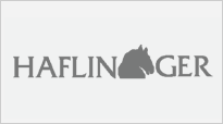 Haflinger